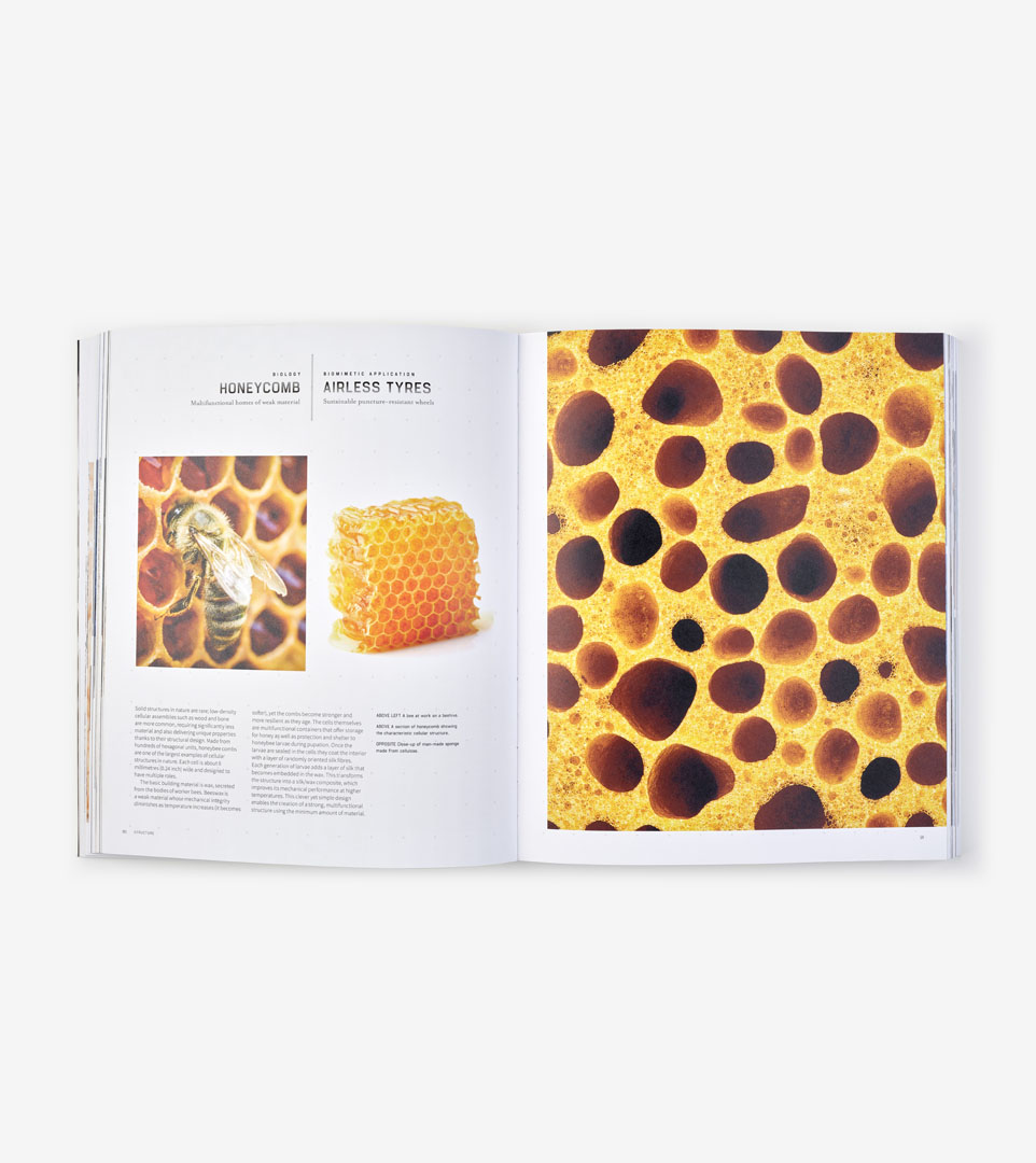 BIOMIMETICS FOR DESIGNERS