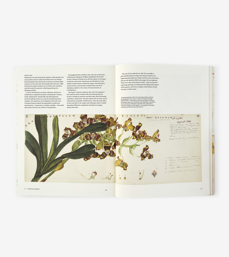 BOTANICAL SKETCHBOOKS