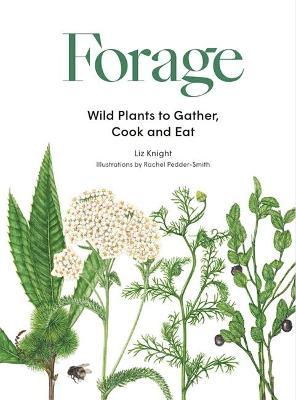 FORAGE