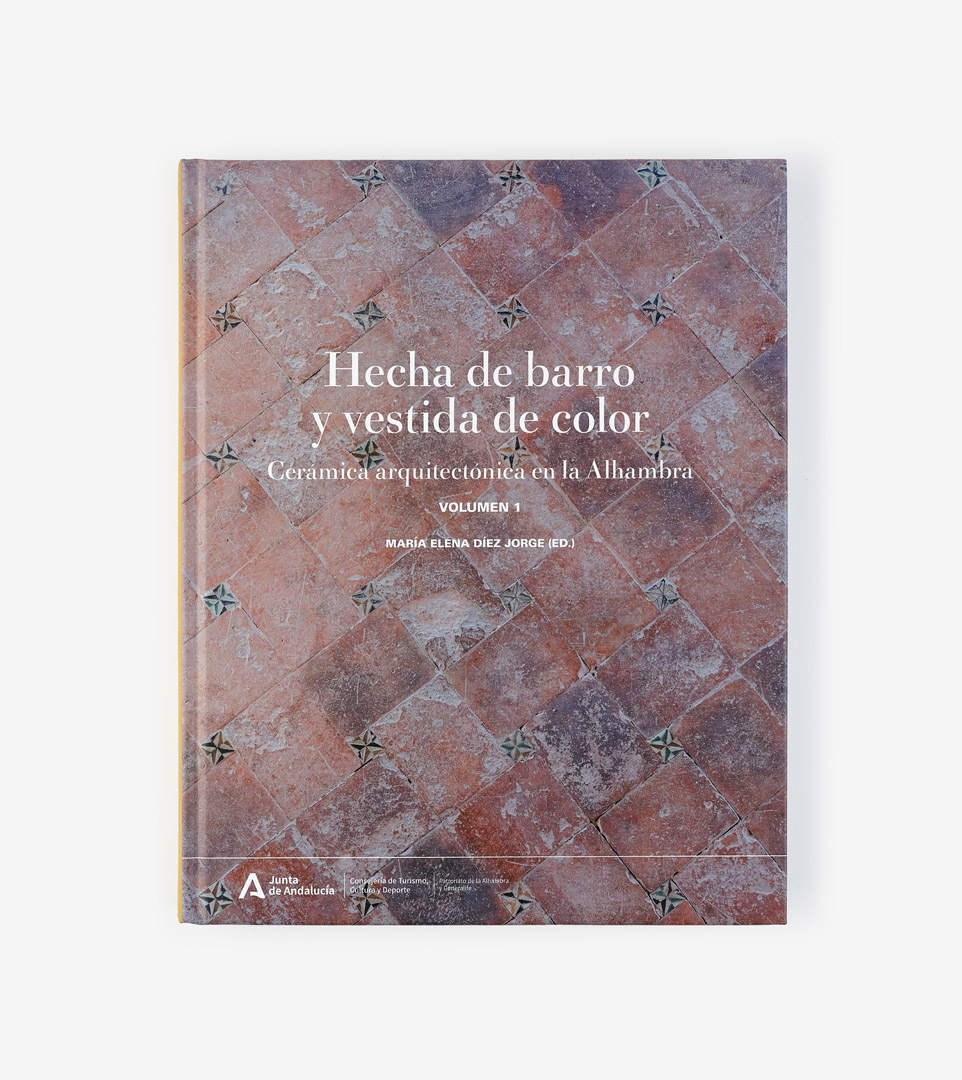 HECHA DE BARRO, VESTIDA DE COLOR. (2VOLS)