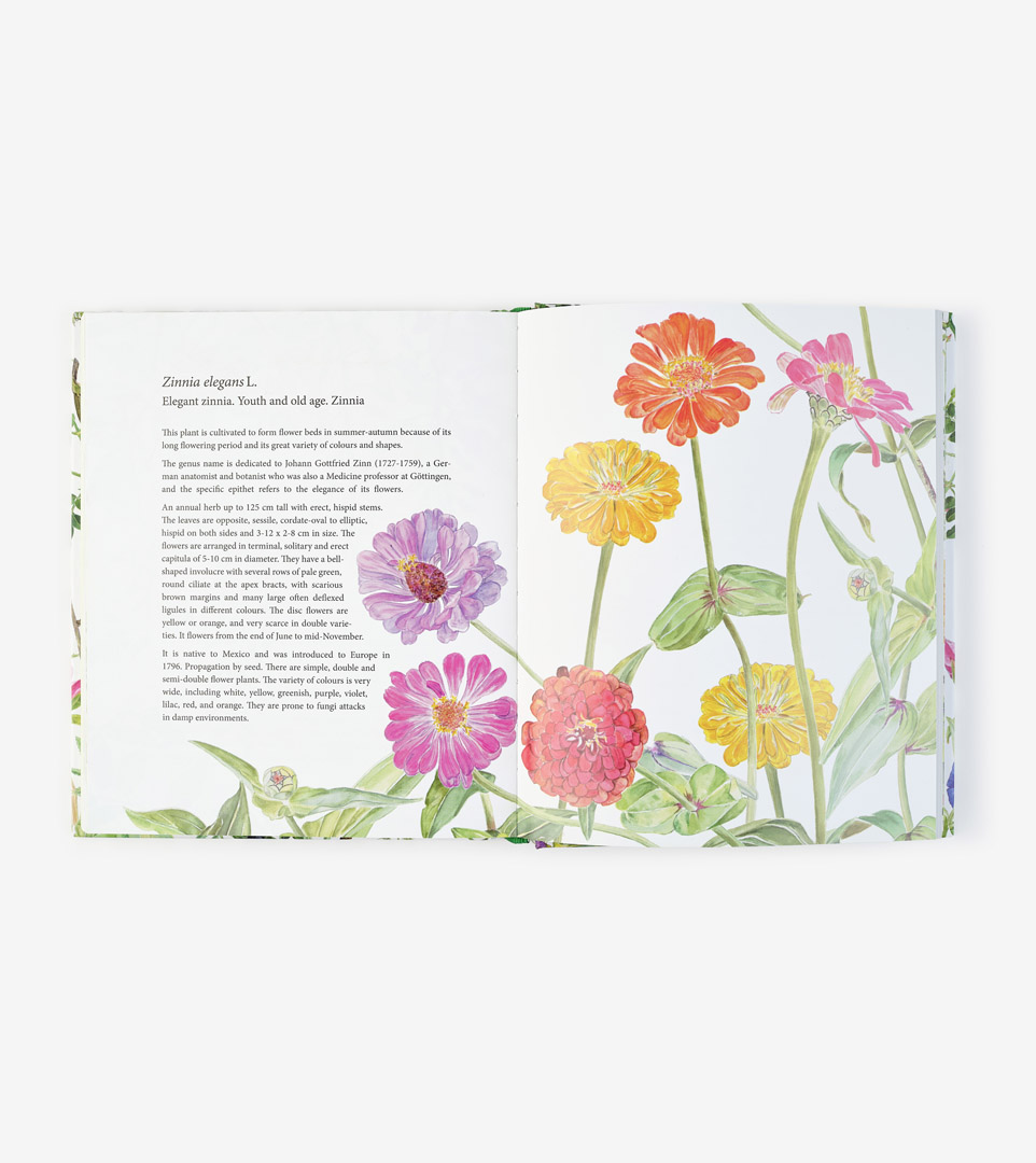 PLANTS OF THE ALHAMBRA