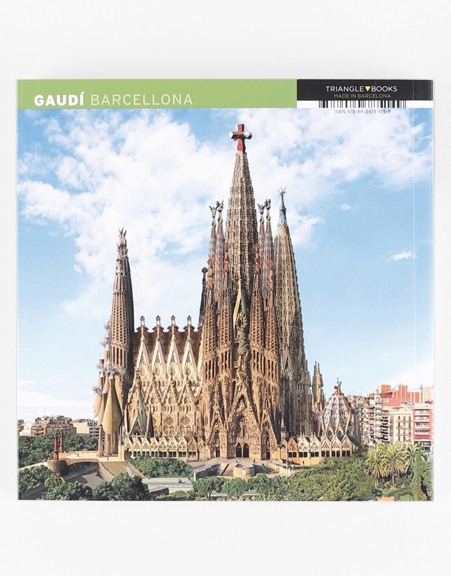 洋書 GAUDI THE VISIONARY 洋書 GAUDI THE VISIONARY 洋書 GAUDI THE VISIONARY Amazon.co