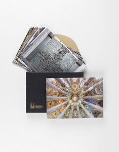 thumbnailItem-2-thumb